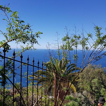 Villa Larnia De Tenerife サウサル エクステリア 写真