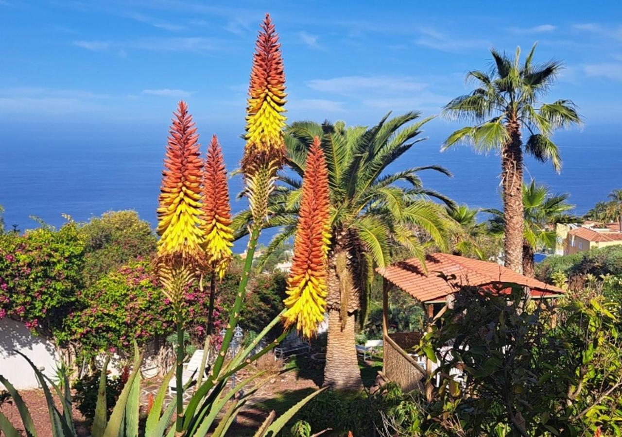 Villa Larnia De Tenerife サウサル エクステリア 写真