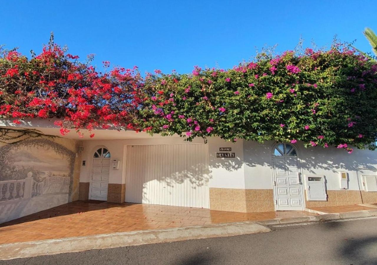 Villa Larnia De Tenerife サウサル エクステリア 写真
