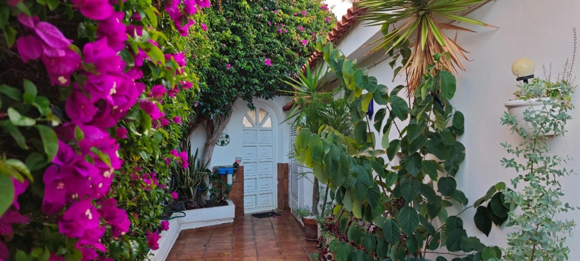 Villa Larnia De Tenerife サウサル エクステリア 写真