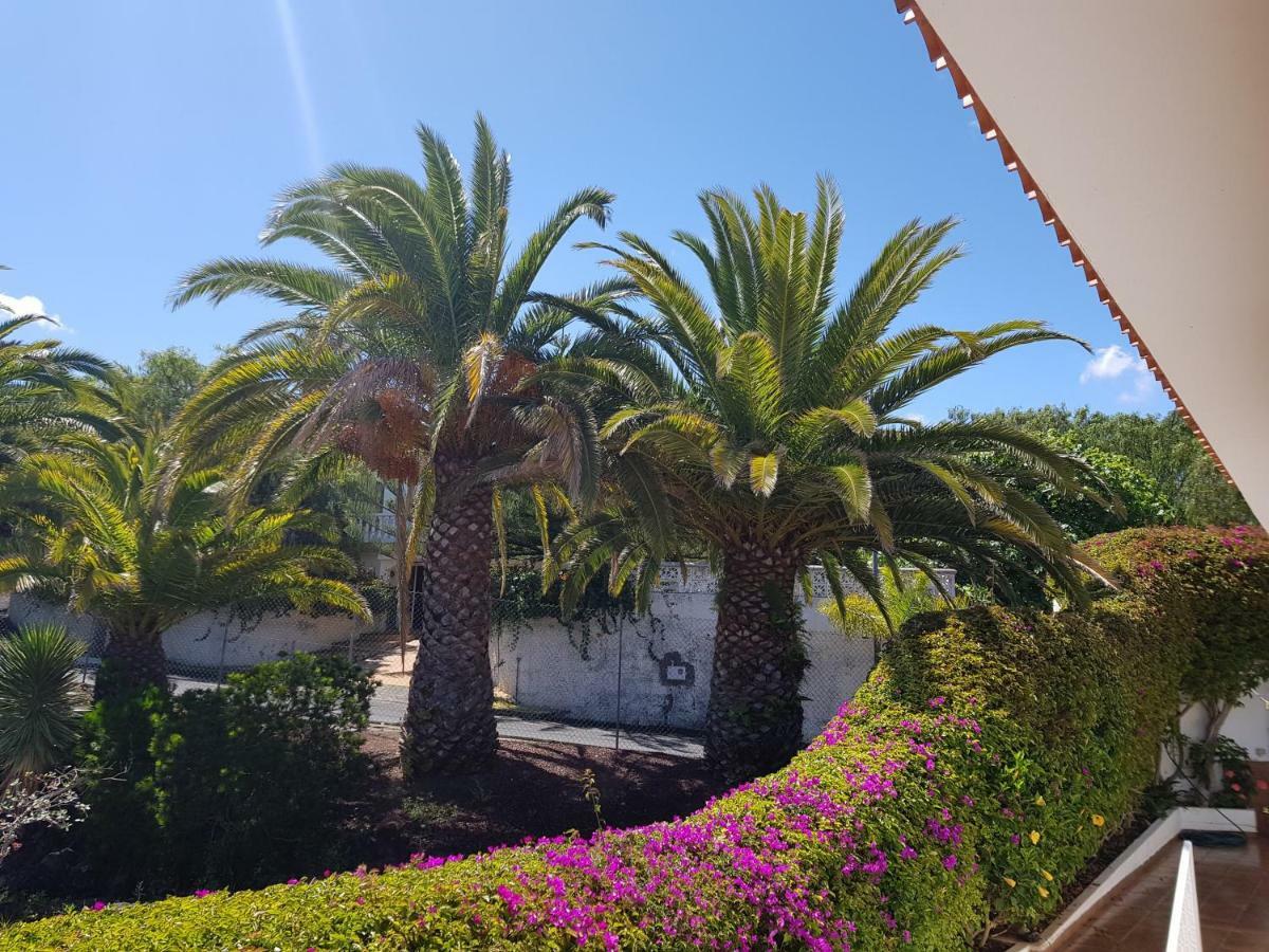 Villa Larnia De Tenerife サウサル エクステリア 写真