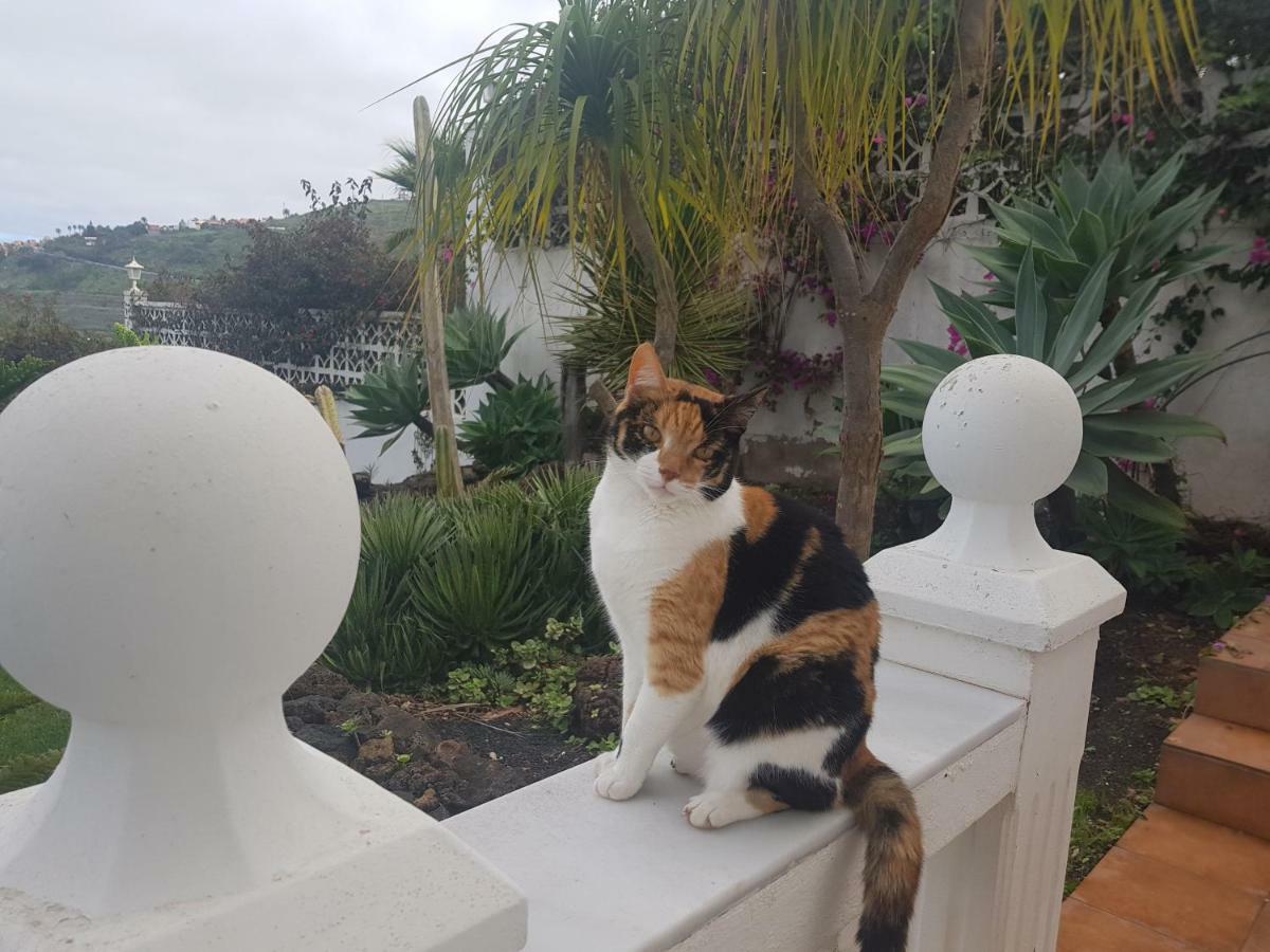 Villa Larnia De Tenerife サウサル エクステリア 写真