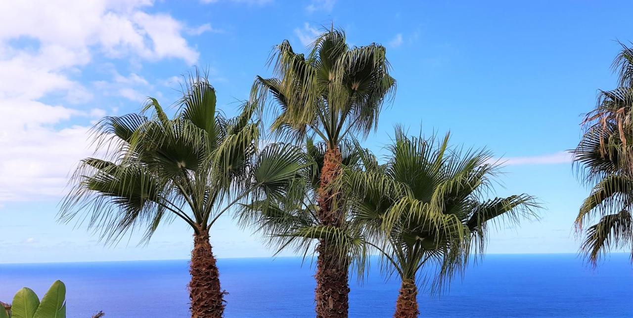 Villa Larnia De Tenerife サウサル エクステリア 写真